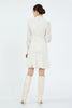 LACE EMBROIDERED DRESS MINI 25W40662