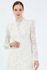 LACE EMBROIDERED DRESS MINI 25W40662